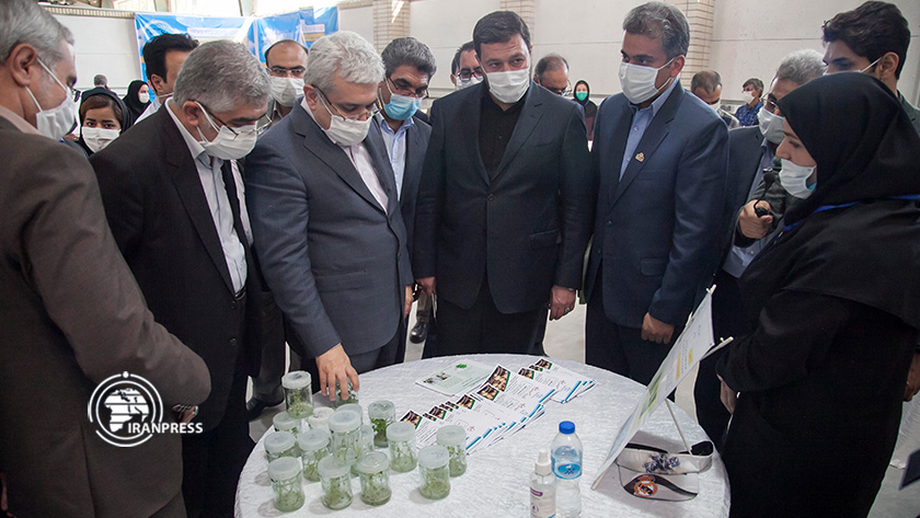 Iran indigenize products through knowledge-based companies Farzad Menati
