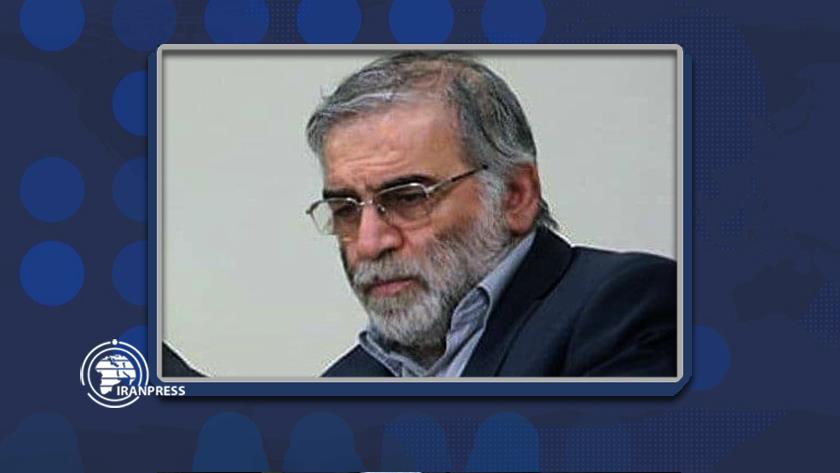 Iranpress: Head of Research, Innovation Org of Defense Ministry Mohsen Fakhrizadeh assasinated near Tehran