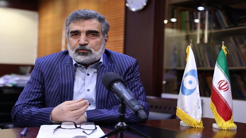 Iranpress: AEOI denies any meeting between martyr Fakhrizadeh and IAEA inspectors