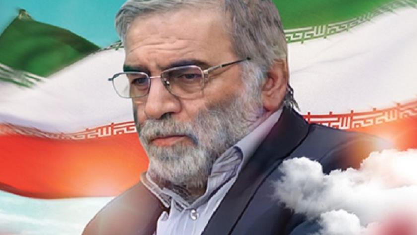 Iranpress: Right preserved for Iran to revenge assassination of its scientist