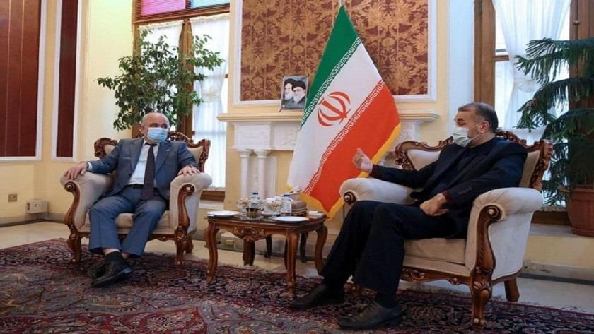 Iranpress: Final opportunity for JCPOA parties to return to commitments is counting down: Amir-Abdollahian