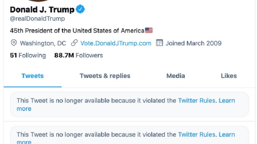 Iranpress: Twitter suspends Trump