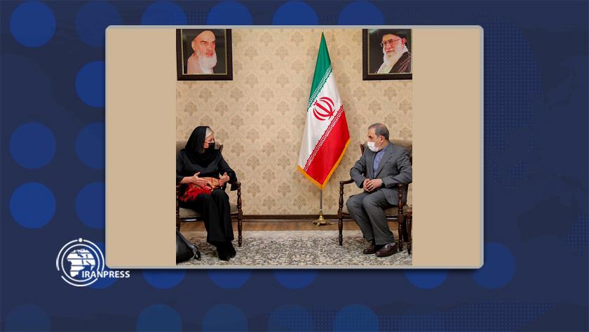 Iranpress: Senior Advisor meets UN Special Representative for Iraq