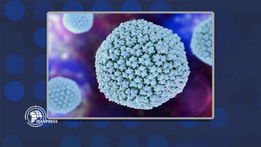 Iranpress: Virus hacked to make tumors kill themselves