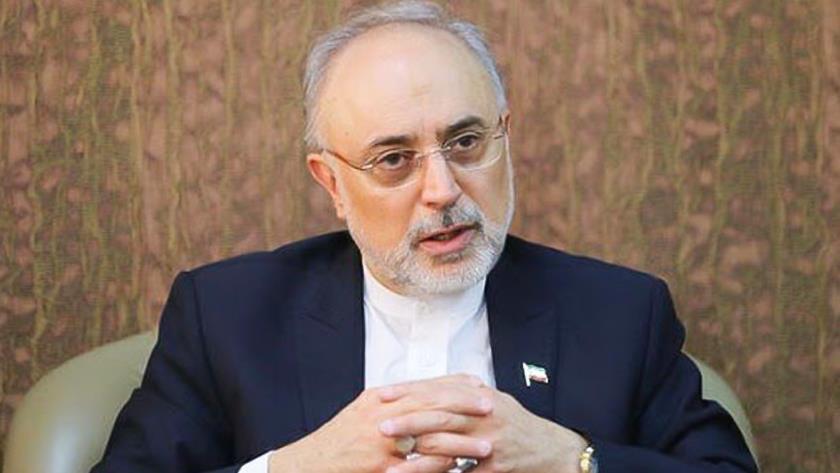 Iranpress: AEOI head stresses achievement of all nuclear technologies