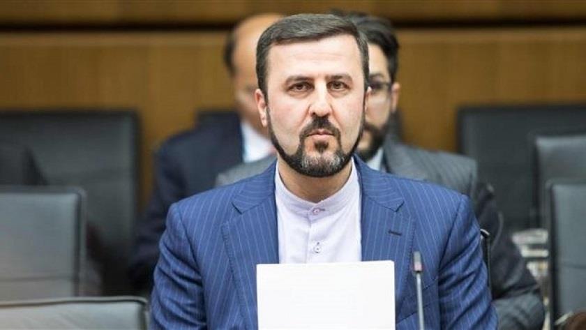 Iranpress: Gharibabadi: IAEA had no access to Iran