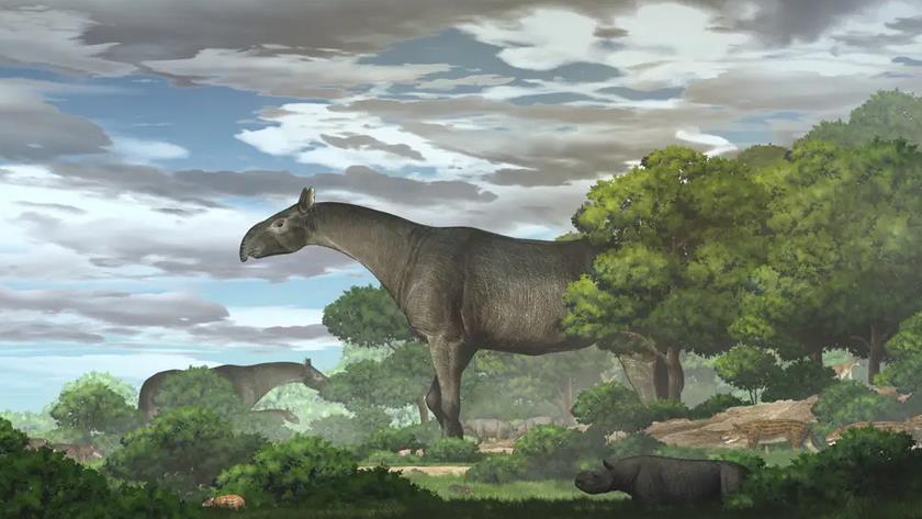 Iranpress: New fossils reveal largest land mammal