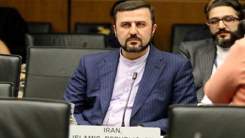 Iranpress: Gharibabadi: US wants to hold JCPOA hostage over regional, defence issues