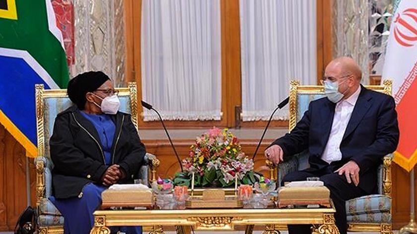 Iranpress: Iranian, South Africa stress expansion of bilateral ties