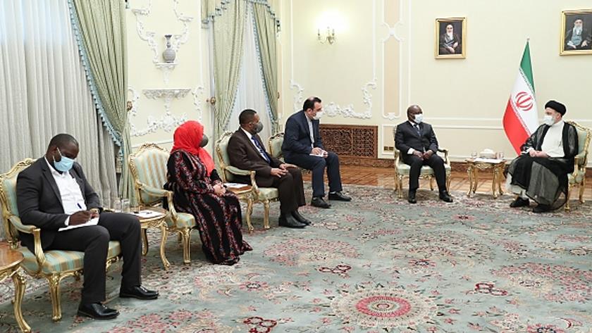 Iranpress: Good potentials to elevate ties between Iran, Tanzania, Zanzibar