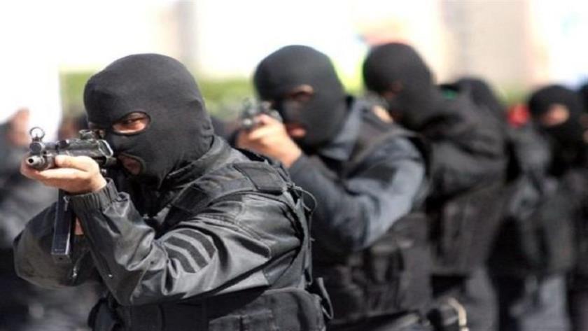 Iranpress: Terrorist group dismantled in northwestern Iran