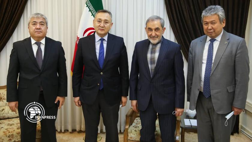 Iranpress: Tehran ready to expand comprehensive cooperation with Bishkek: Velayati