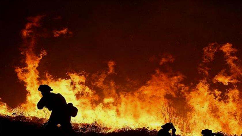 Iranpress: Colorado wildfire; governor declares 