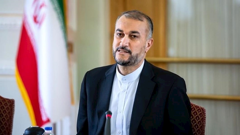 Iranpress: Tehran will not wait years for Vienna talks: FM