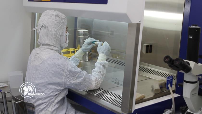 Iranpress: Iran makes significant progress in study of stem cells 