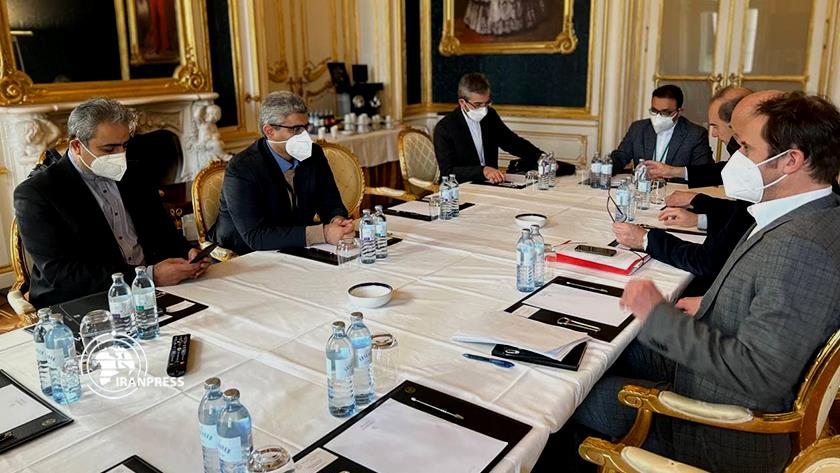 Iranpress: Iran, EU delegations continue talks in Vienna