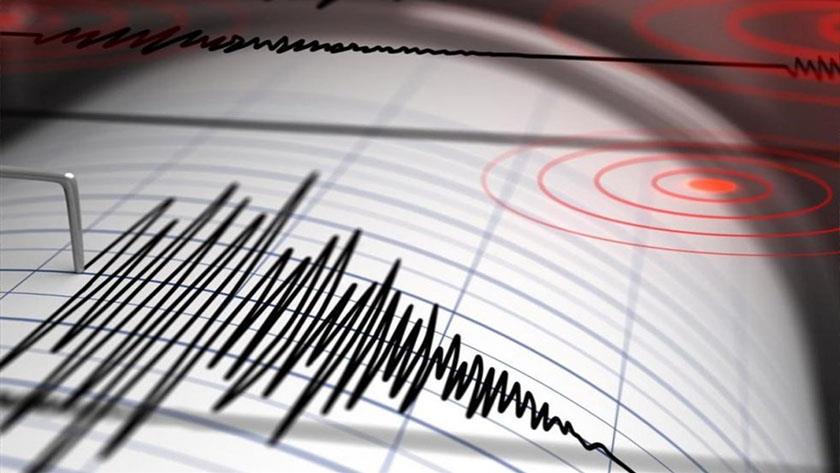 Iranpress: 4.8 magnitude quake jolts Iran