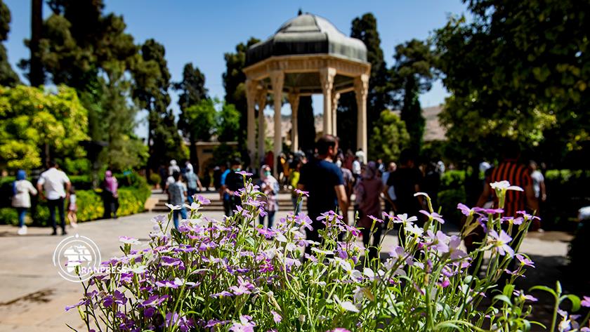 Iranpress: Shiraz with odour of orange blossoms