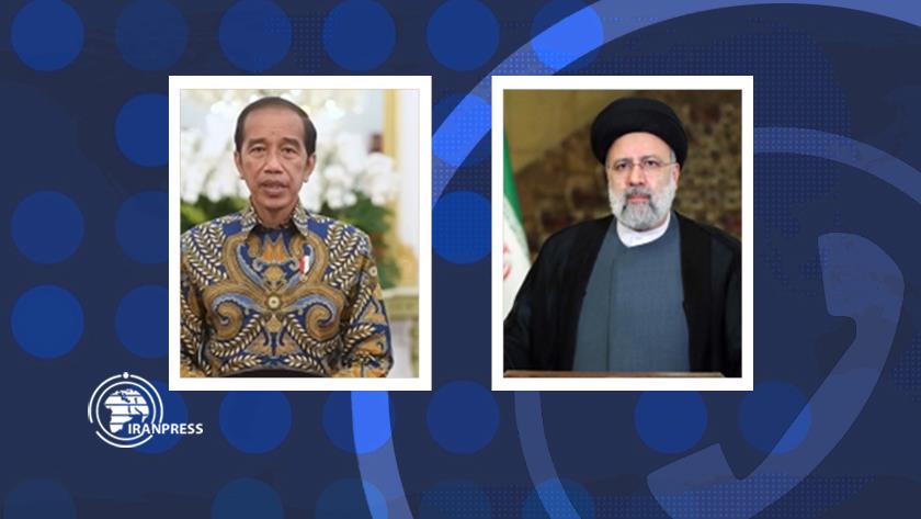 Iranpress: Iranian, Indonesia presidents stress deepening ties in various fields