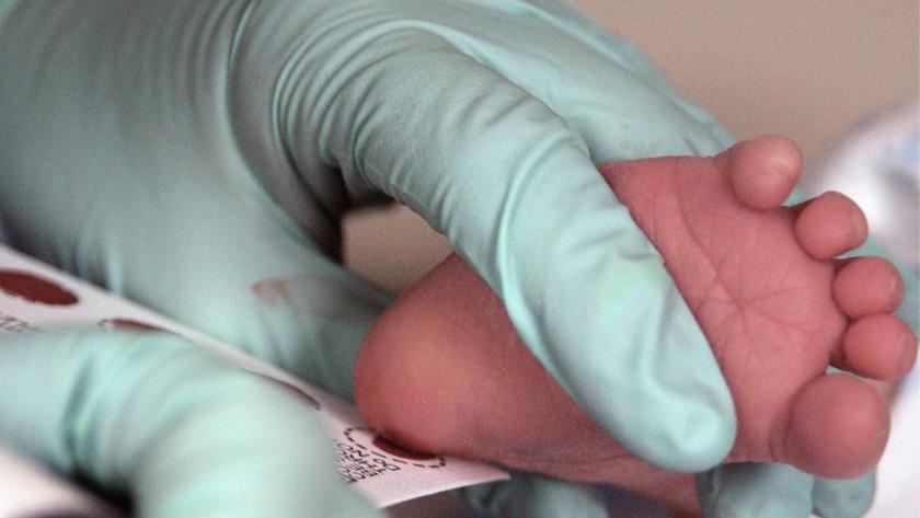 Iranpress: Iranian scientists make screening kits for newborns