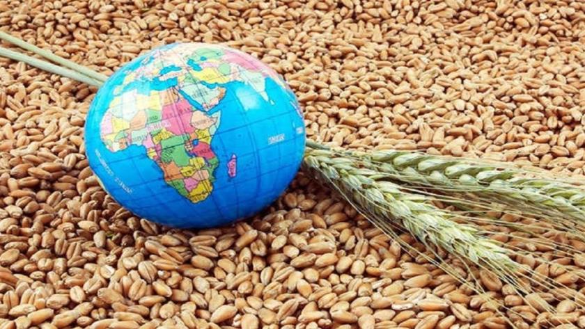Iranpress: Iran voices support for UN action in global food crisis