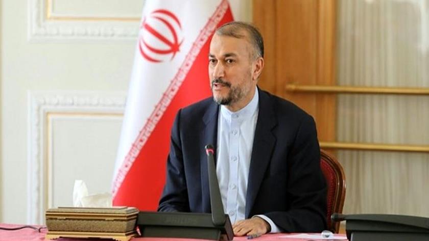 Iranpress: IRIMFA to pursue Sayyad Khodaei assassination case: FM