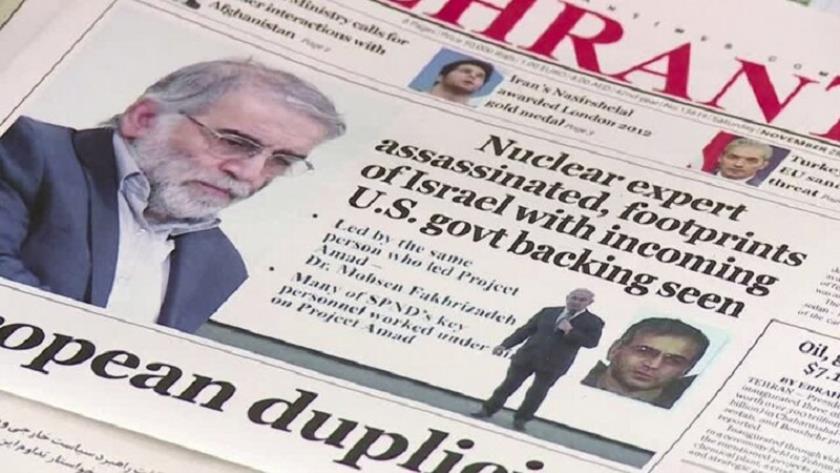 Iranpress: Killings of Iranian experts are useless, says Israeli daily