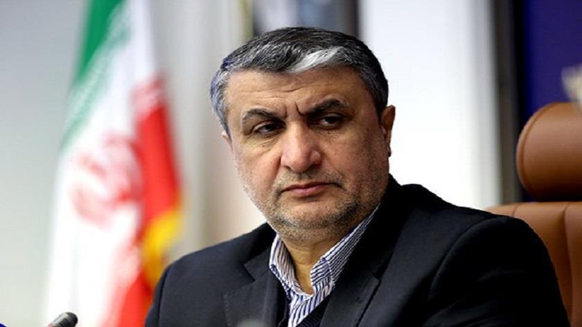Iranpress: Tehran provides accurate answers to IAEA questions, says AEOI head