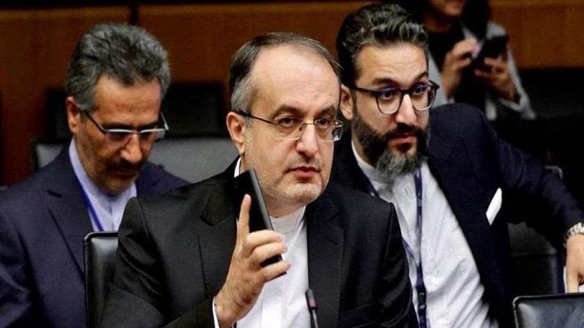 Iranpress: Iran IAEA envoy condemns adoption of anti-Iran resolution