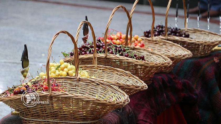 Iranpress: Sweet cherry festival in Iran