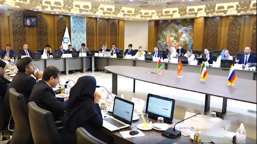 Iranpress: 4th round of free trade talks between Iran, EAEU held