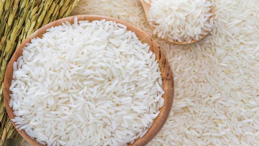 Iranpress: Pakistani Rice Festival held in Iran