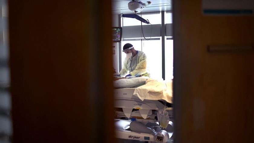 Iranpress: Study reveals COVID pandemic