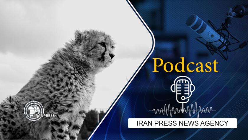 Iranpress: Podcast:  
