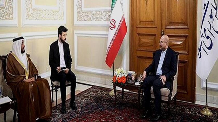 Iranpress: UAE invites Iranian Parl. Speaker for official visit
