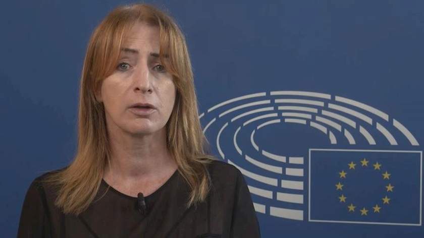 Iranpress: Member of European Parliament criticizes Europe