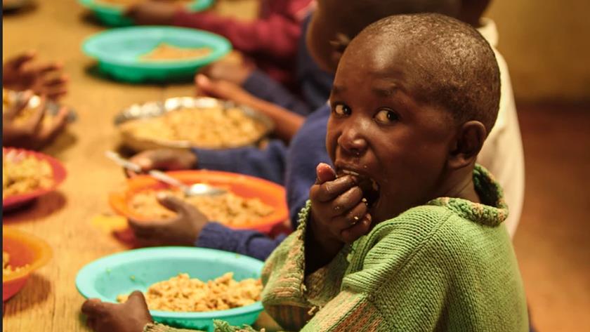 Iranpress: UN, partners call for 400 mln USD to address urgent food needs in NE Nigeria