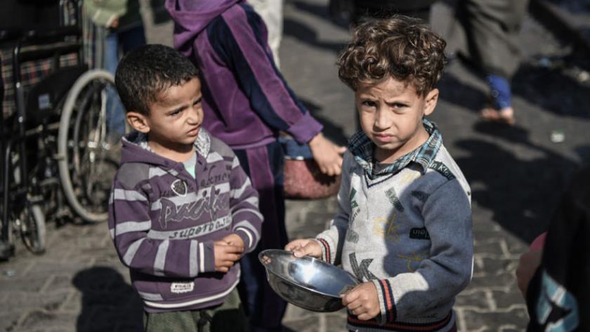 Iranpress: الأونروا: طفل بين كل ثلاثة أطفال دون السنتين في شمال قطاع غزة يعاني من سوء التغذية