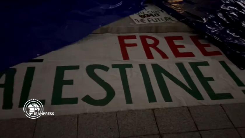 Iranpress: وقفة تضامنية دعما لفلسطين في مانهاتن بنيويورك + فيديو