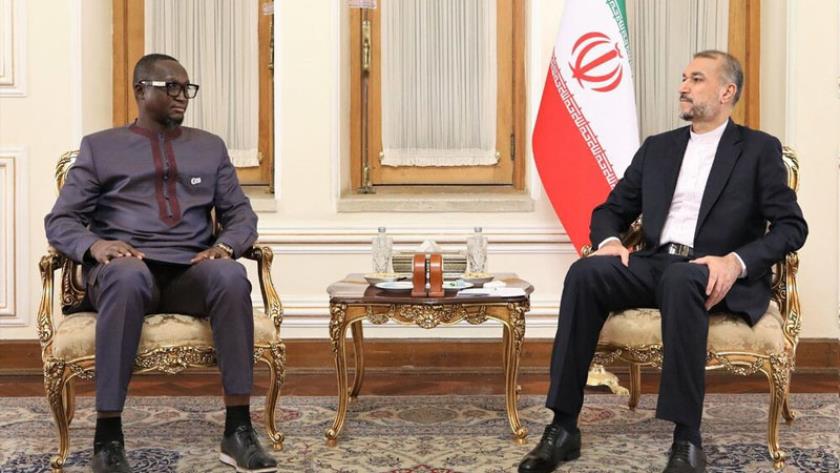 ایران برس: أمير عبداللهيان: التطوير الشامل للعلاقات مع القارة الأفريقية من أولويات إيران