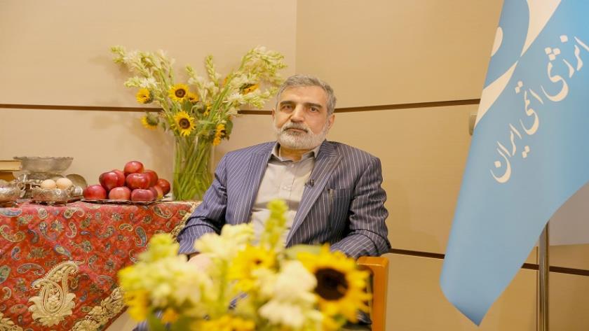 Iranpress: كمالوندي: لن تتخلى إيران عن حقوقها تحت الضغوط السياسية 
