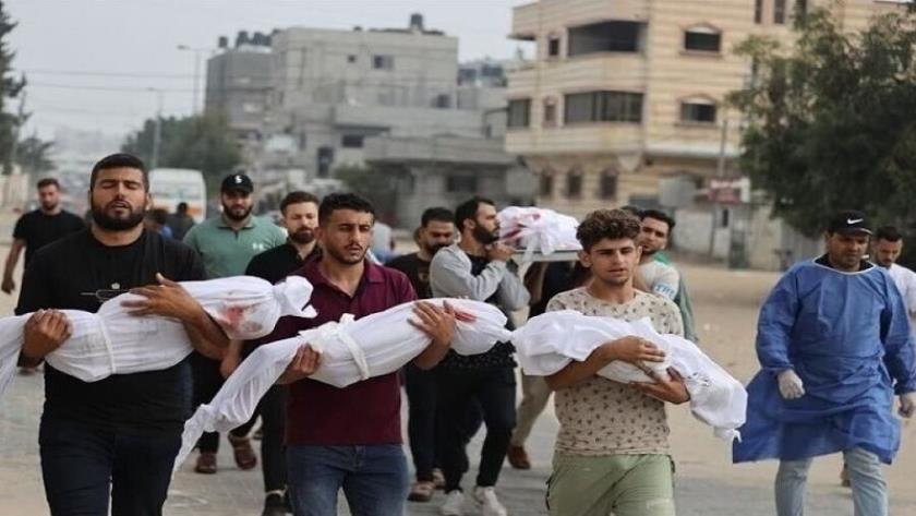 Iranpress: ارتفاع حصيلة العدوان على غزة إلى 36731 