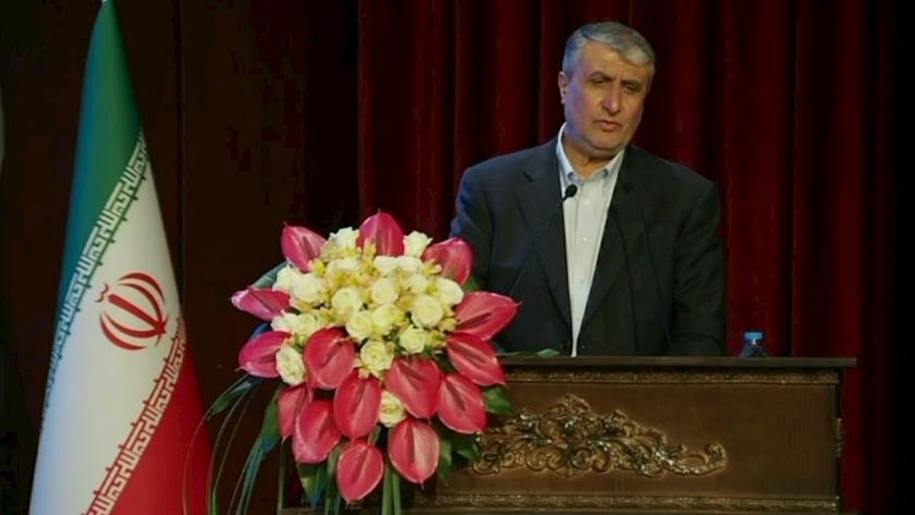 Iranpress: تقدم الصناعة النووية الإيرانية في مجالات العلاج والصناعة والأمن الغذائي