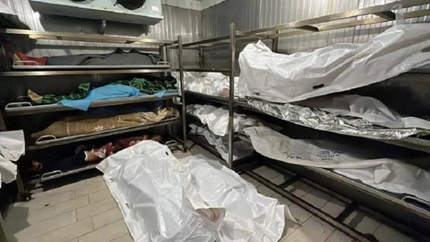 ایران برس: غزة: تعذيب وإعدامات ميدانية ونهب أعضاء من جثامين الشهداء 