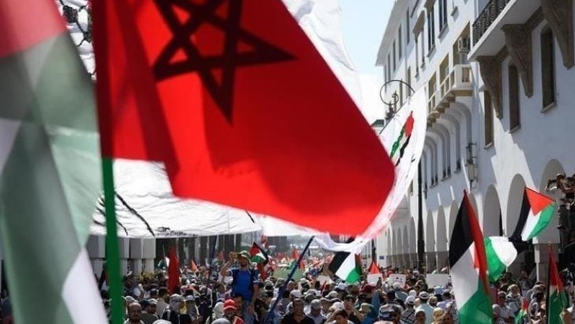 Iranpress: وقفة تضامنية في طنجة دعماً لفلسطين ورفضاً للتطبيع