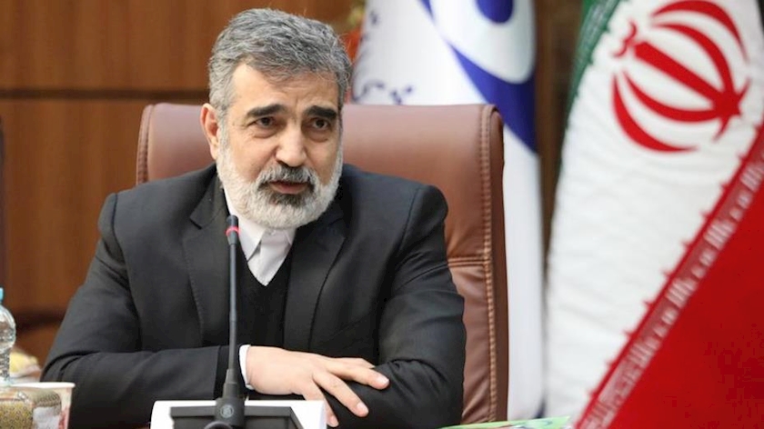 Iranpress: تبیین تاثیر دستاوردهای فناوری هسته ای در سطوح مختلف مردم