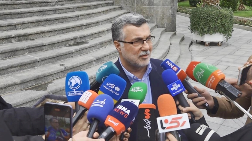 Iranpress: ظفرقندی: برای تامین پانسمان بیماران پروانه‌ای مشکل جدی وجود ندارد