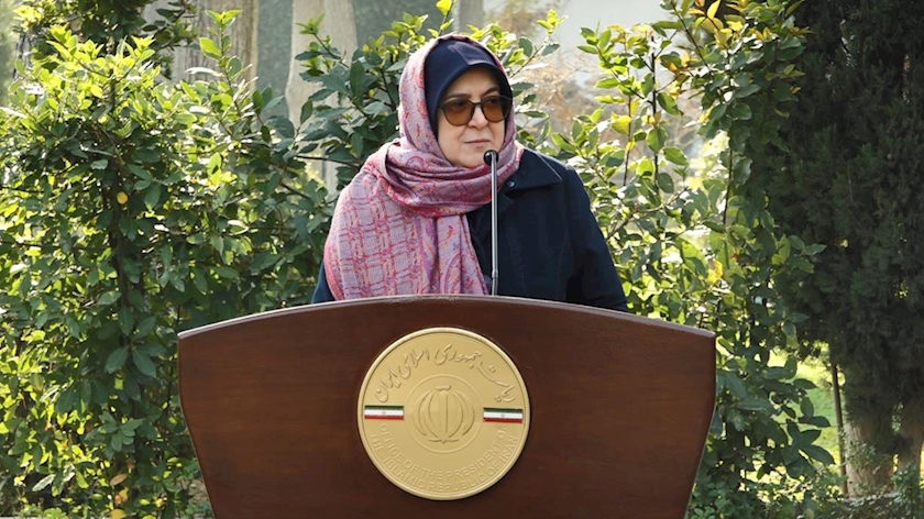 Iranpress: مهاجرانی: دولت برای رفع ناترازی‌های انرژی برنامه‌های جدی دارد