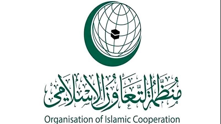 Iranpress: استقبال سازمان همکاری اسلامی از تصویب قطعنامه‌ حمایت فلسطین