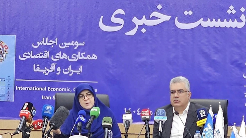 Iranpress: تقویت بخش خصوصی، راهبرد اصلی دولت چهاردهم